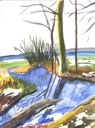 Venusberg-Bonn-1/2006